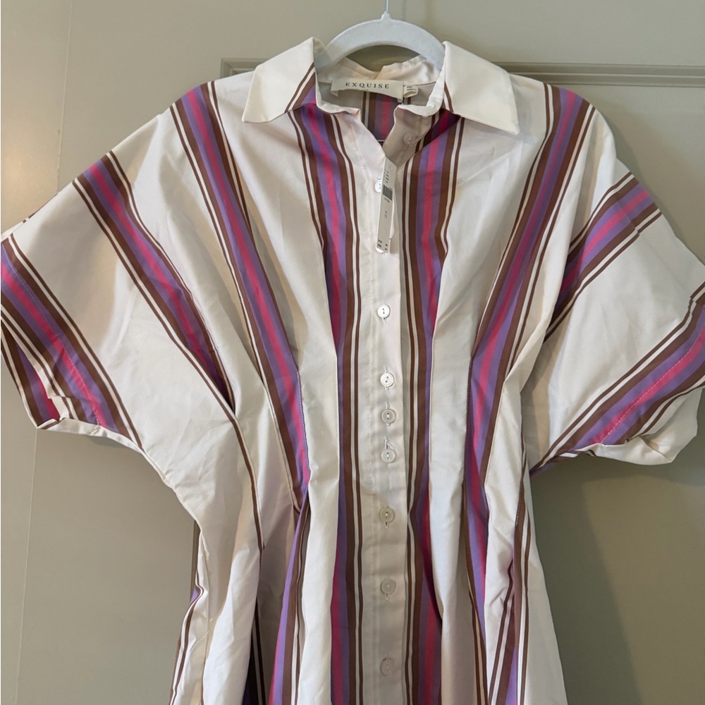Anthropologie NWT Tobie Mini Shirt Dress in Pink Stripe Exquise - Size XS - Picture 4 of 6